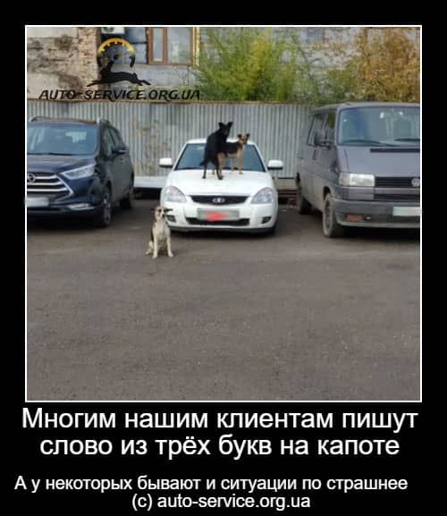 Полировка капота 1 Полировка капота Киев